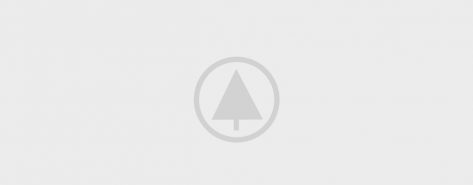 wood-gallery-placeholder-4 wood-gallery-placeholder-4