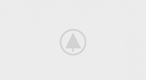 wood-portfolio-placeholder wood-portfolio-placeholder